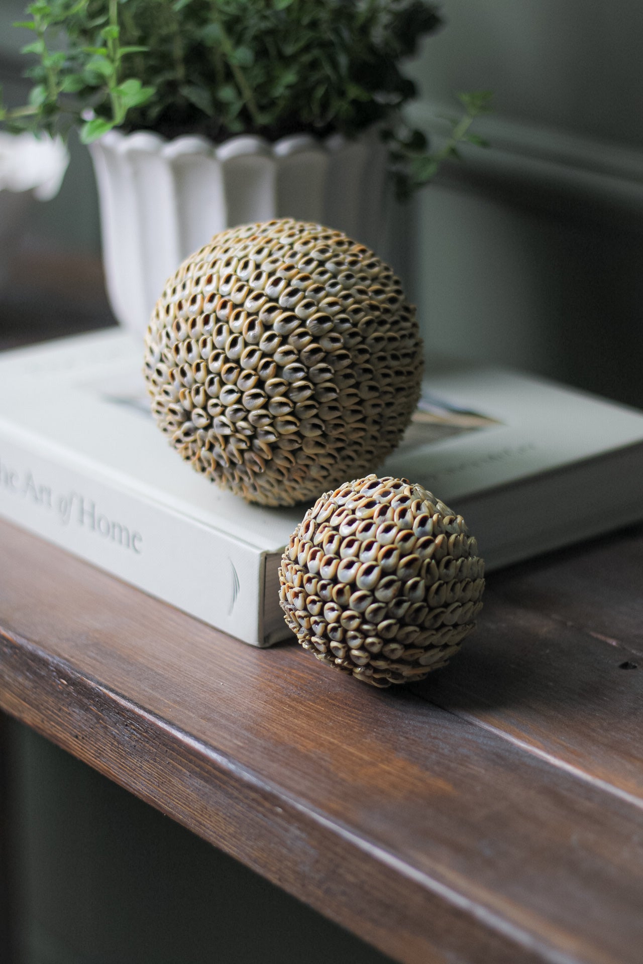 Soft Brown Shell Ball Decorative Sculpture