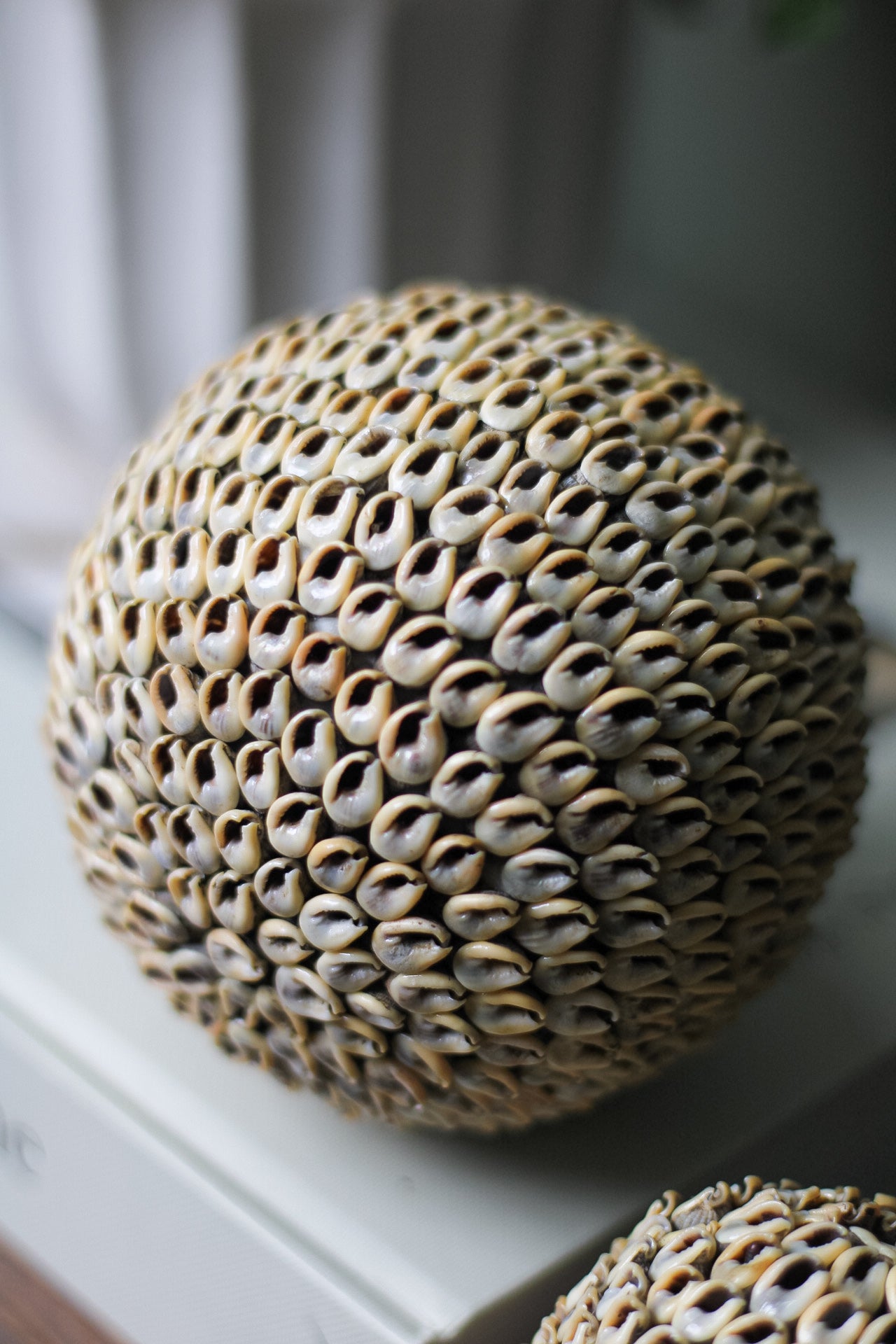 Soft Brown Shell Ball Decorative Sculpture