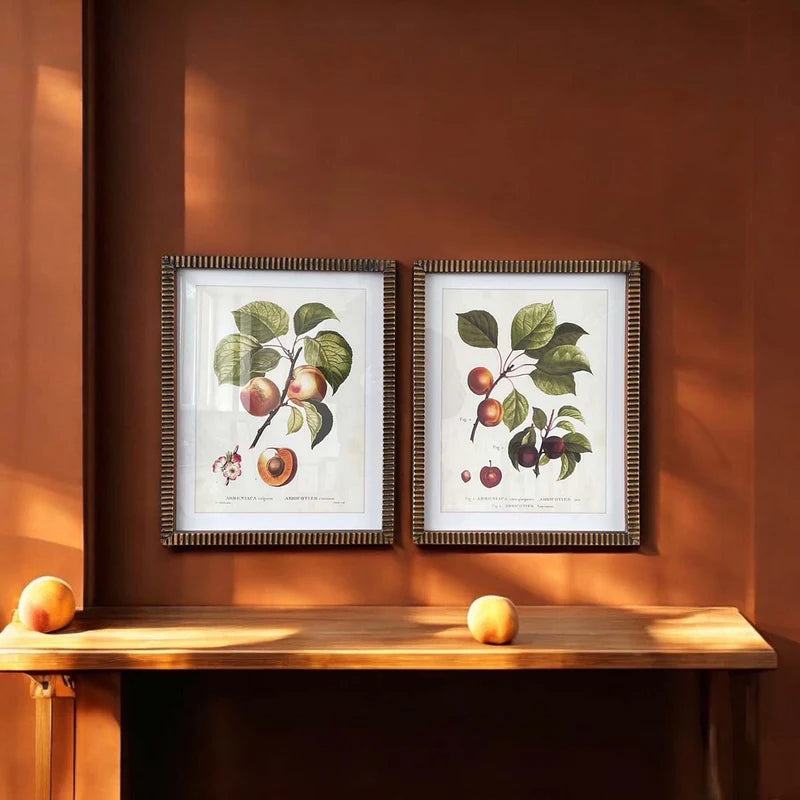 Vintage Apricot Framed Wall Art