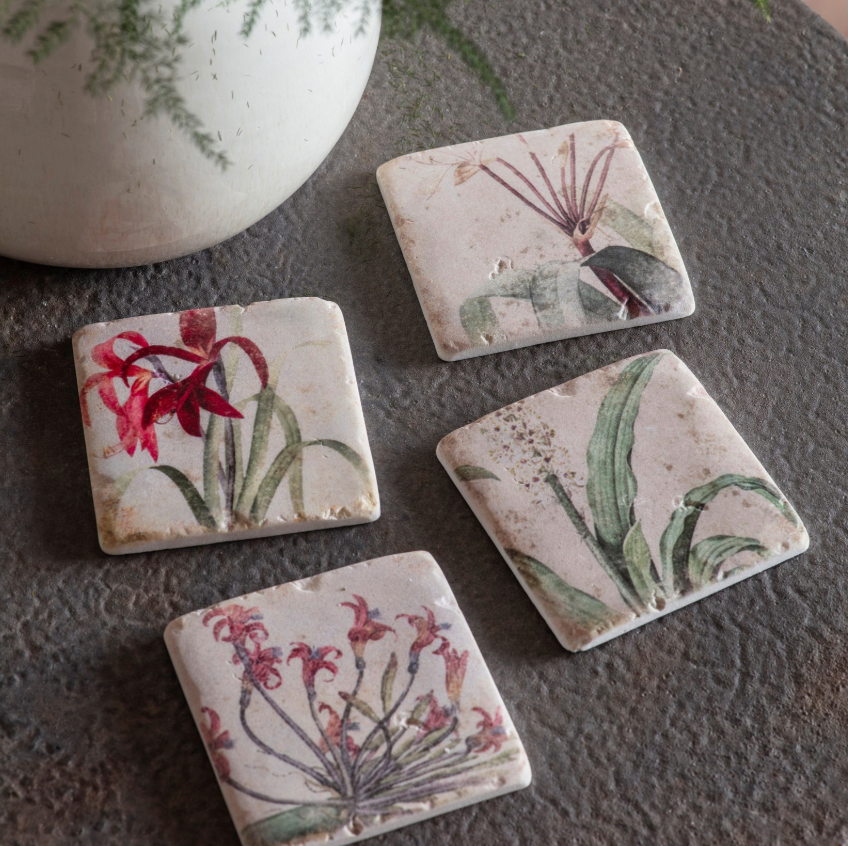 Vintage Botanical Coasters | Set of 4