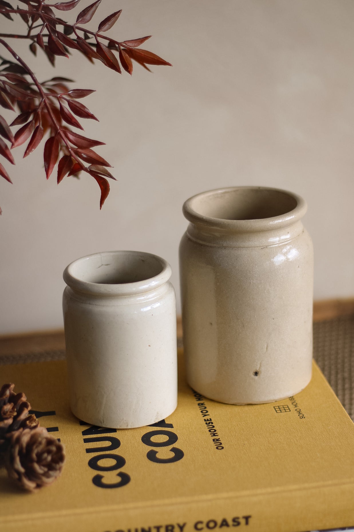 Two ceramic jars on a book with a plant in the background