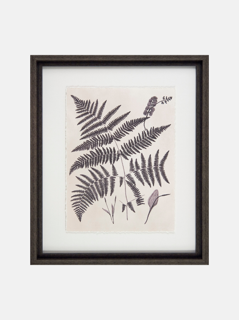 Framed artwork with fern leaves on a beige background