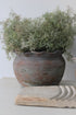 Vintage Pie Crust Plant Pot Planter