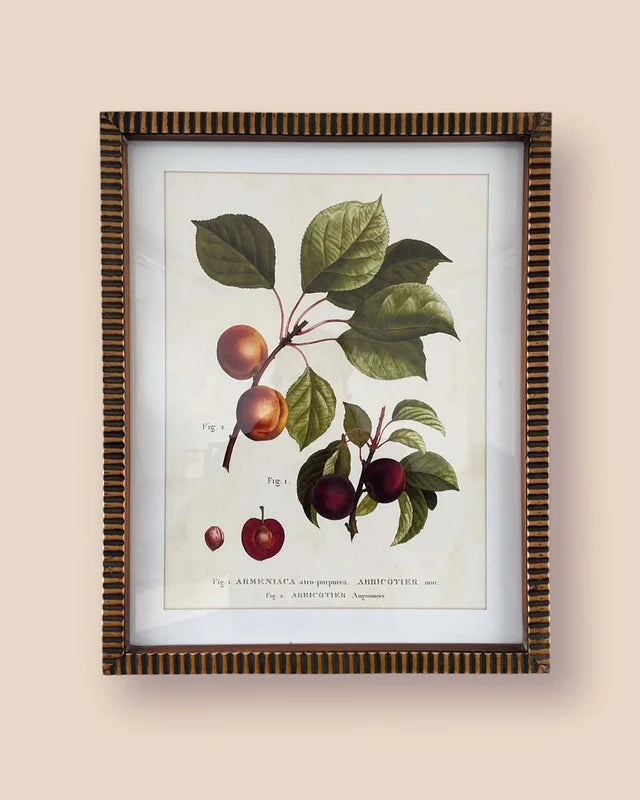 Vintage Plums & Apricot Framed Wall Art
