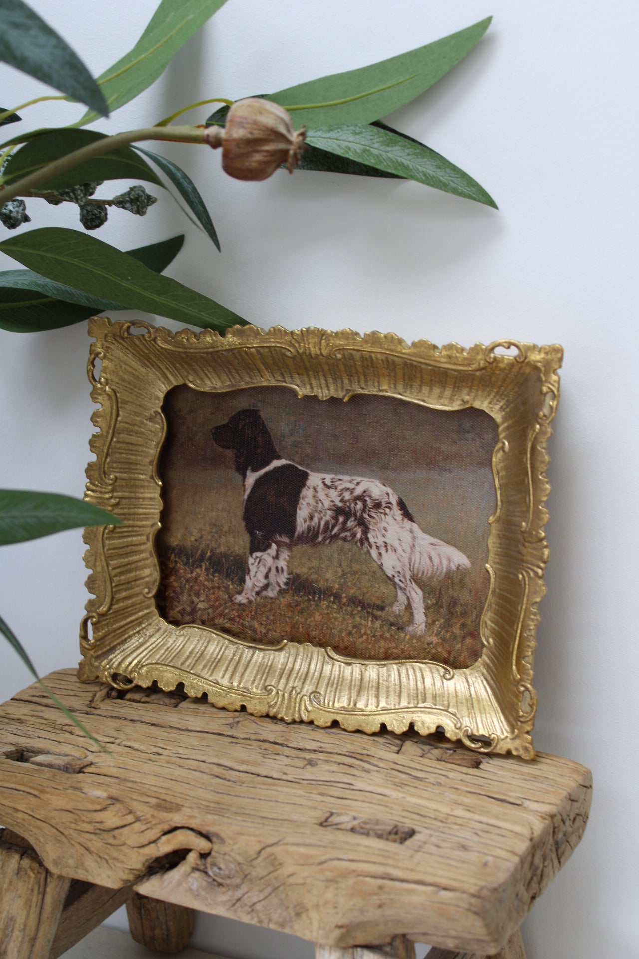 Decorative framed picture of a dog on a wooden surface with green leaves in the background