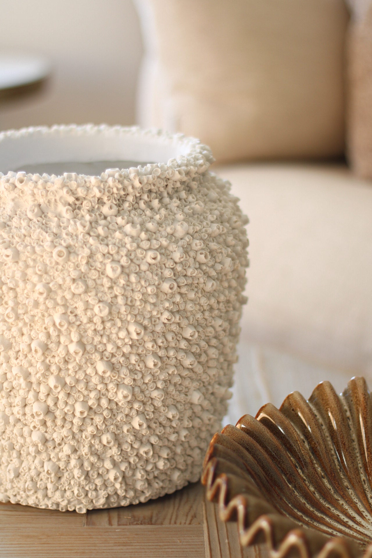 Decorative textured barnacle pot on a surface with a blurred background