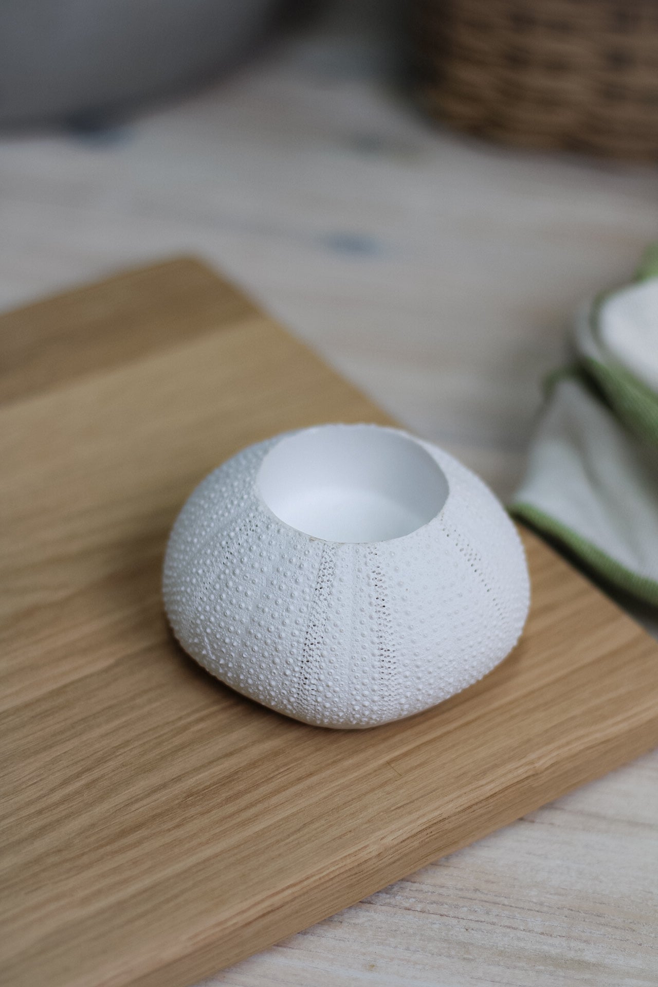 White Sea Urchin Candle Holder