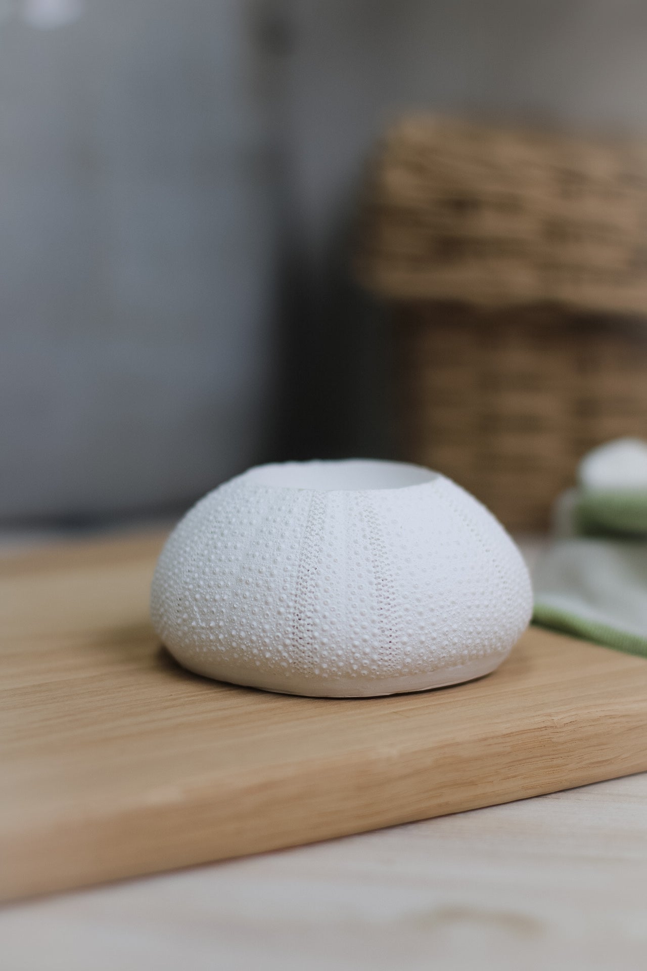 White Sea Urchin Candle Holder