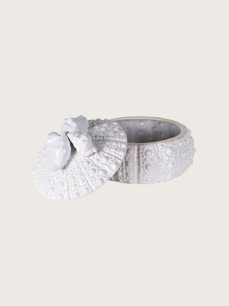 Gray baby booties with white ruffles on a light gray background