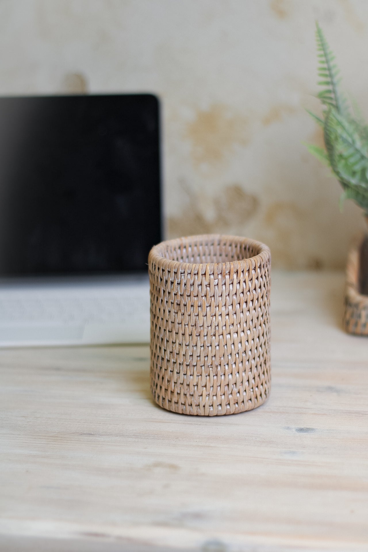 White Washed Rattan Storage Pot
003