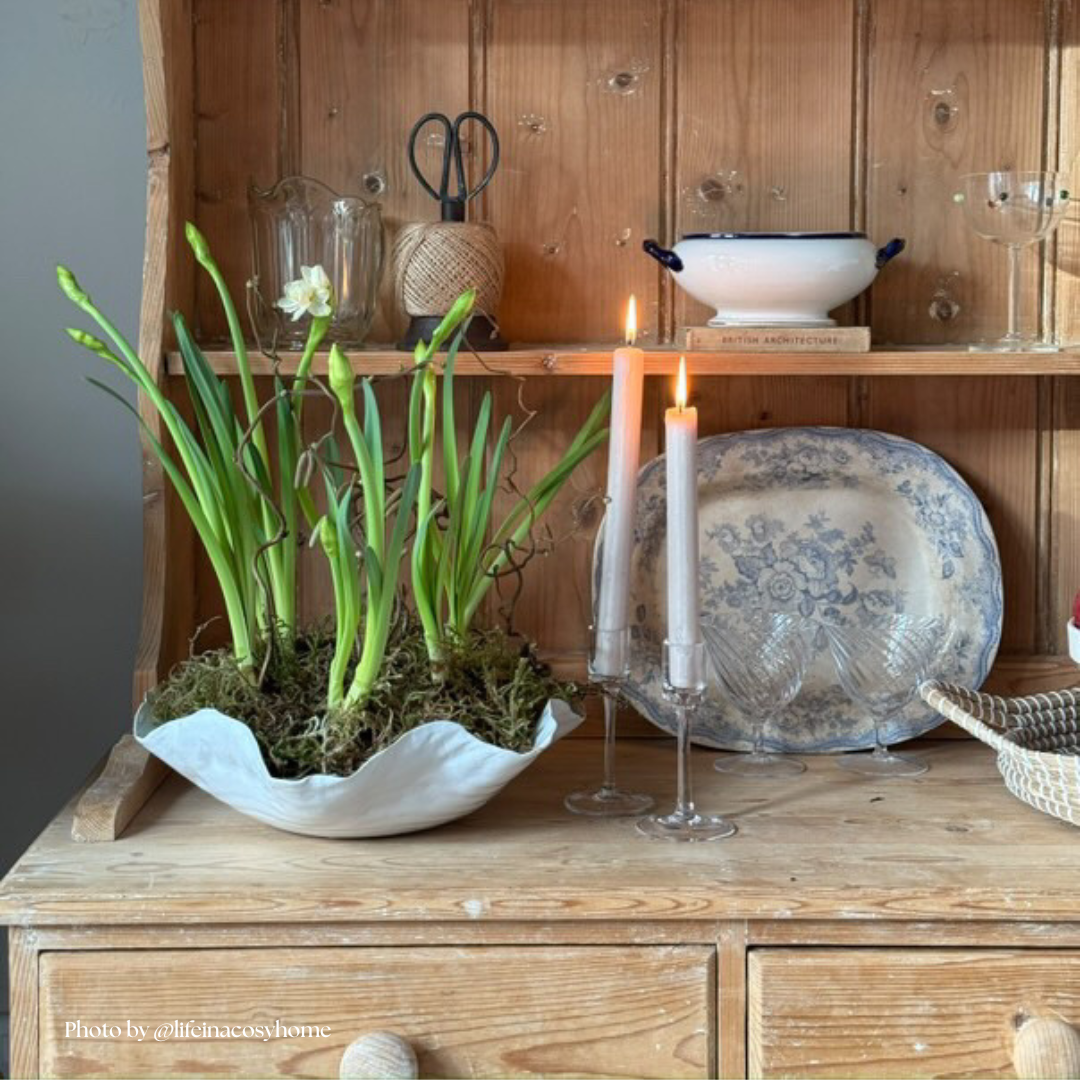 Ceramic white wave bowl planter filled with flowers