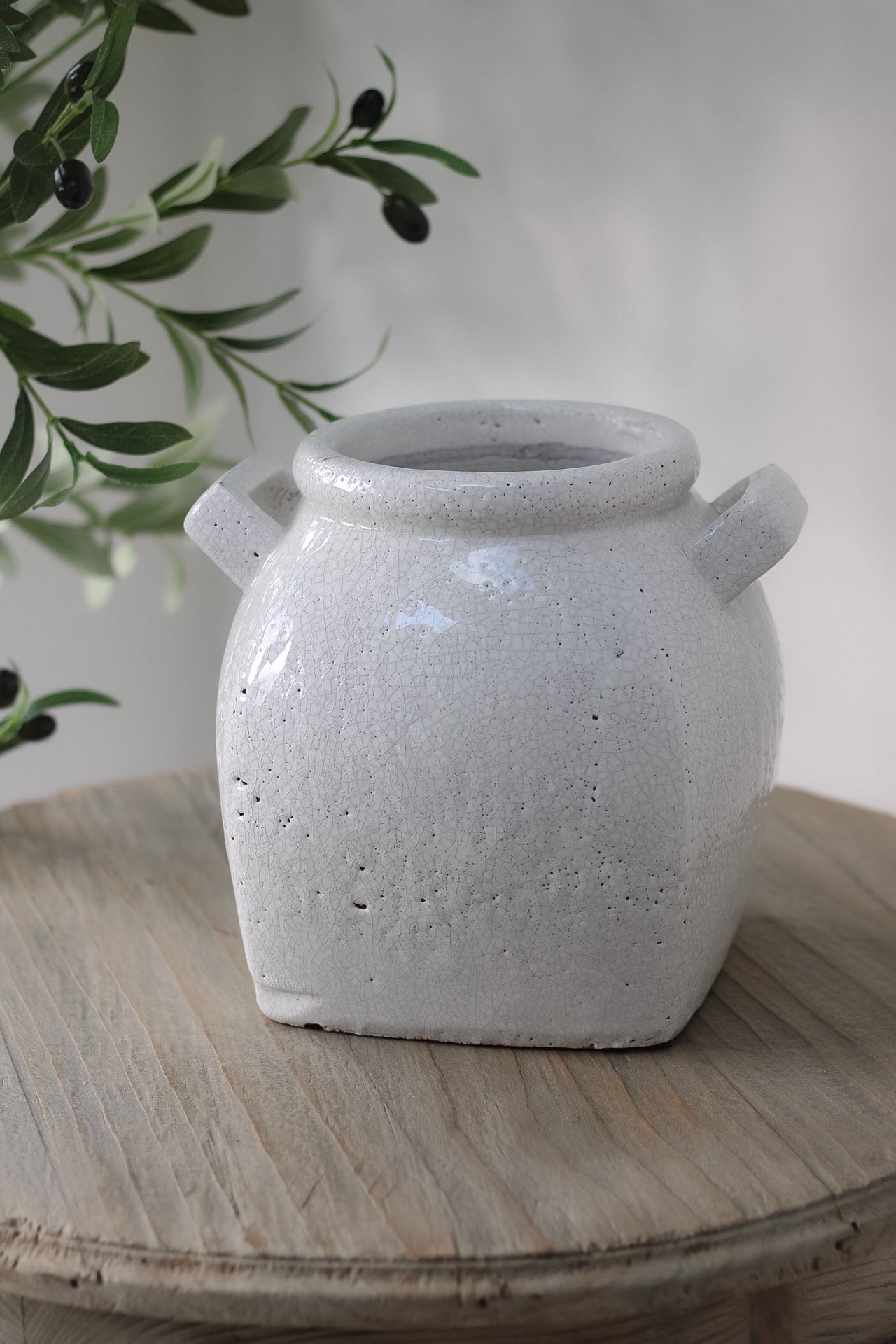 Whitlow Rustic Crackle Glazed White Pot with Handles for beautiful home decor