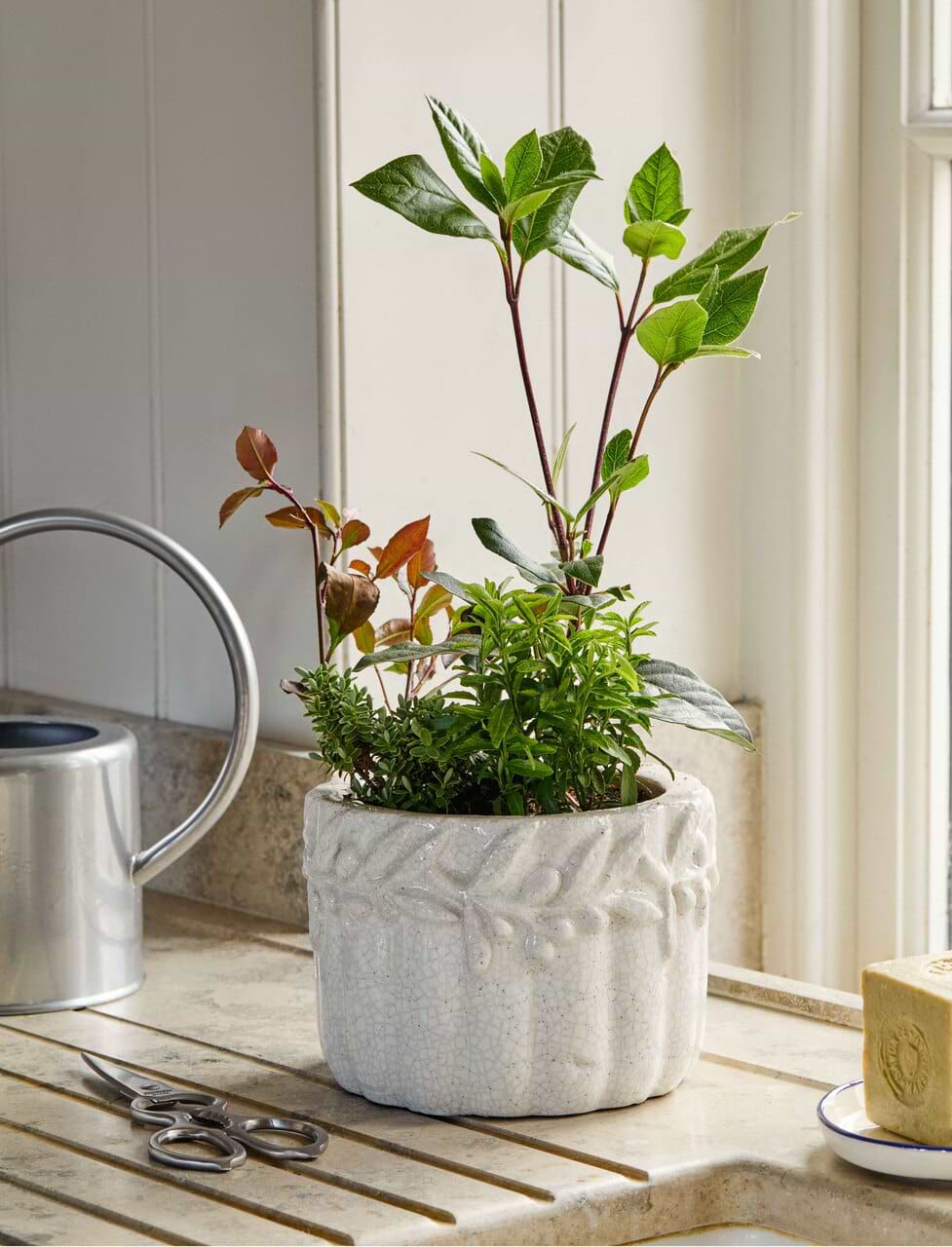 Yeoford Rustic Plant Pot