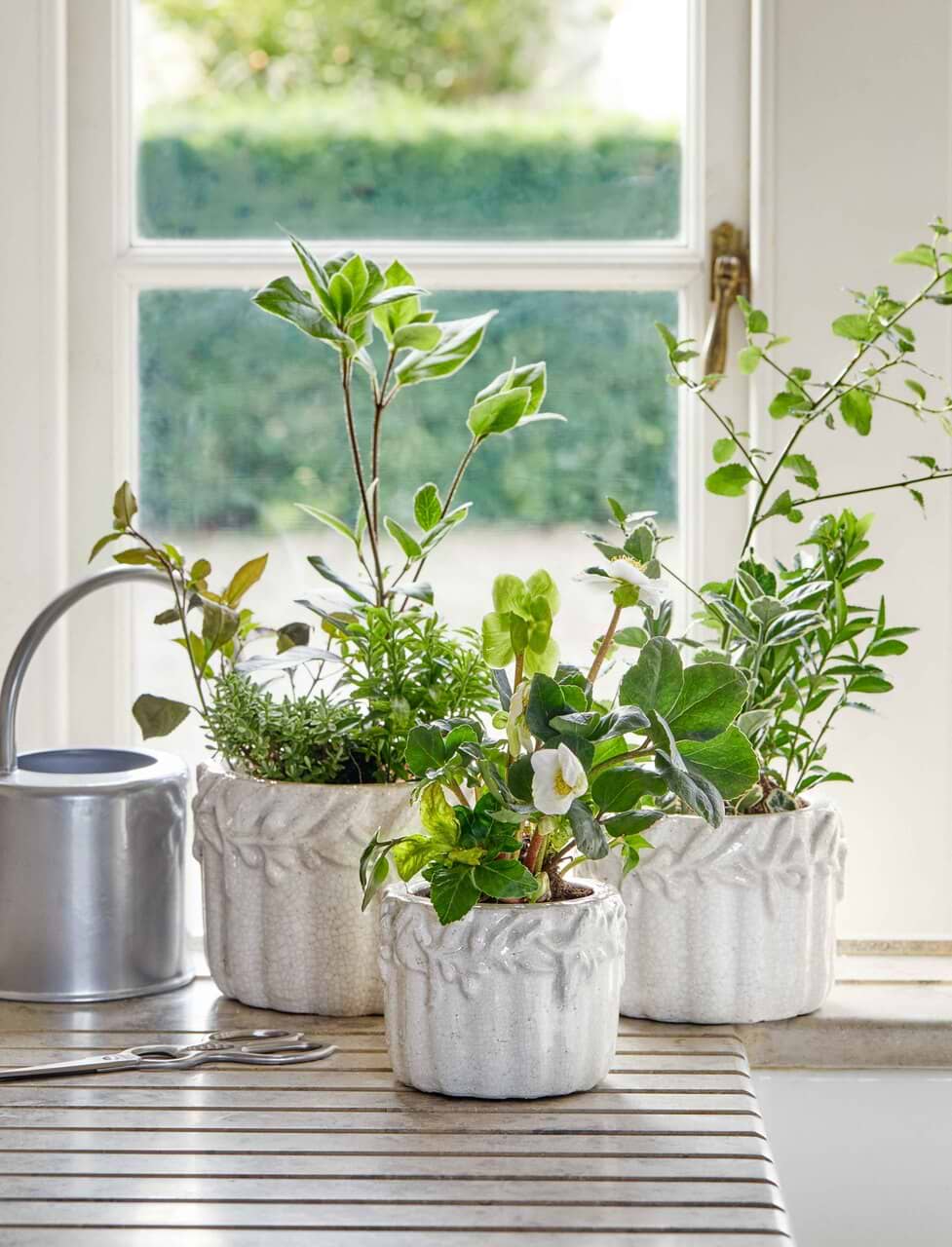 Yeoford Rustic Plant Pot
