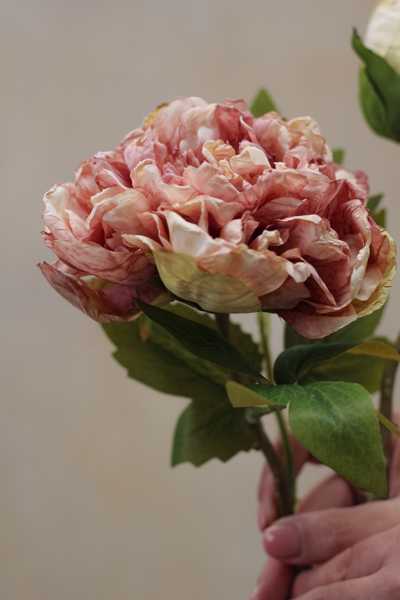 dried touch faux pink peony stem