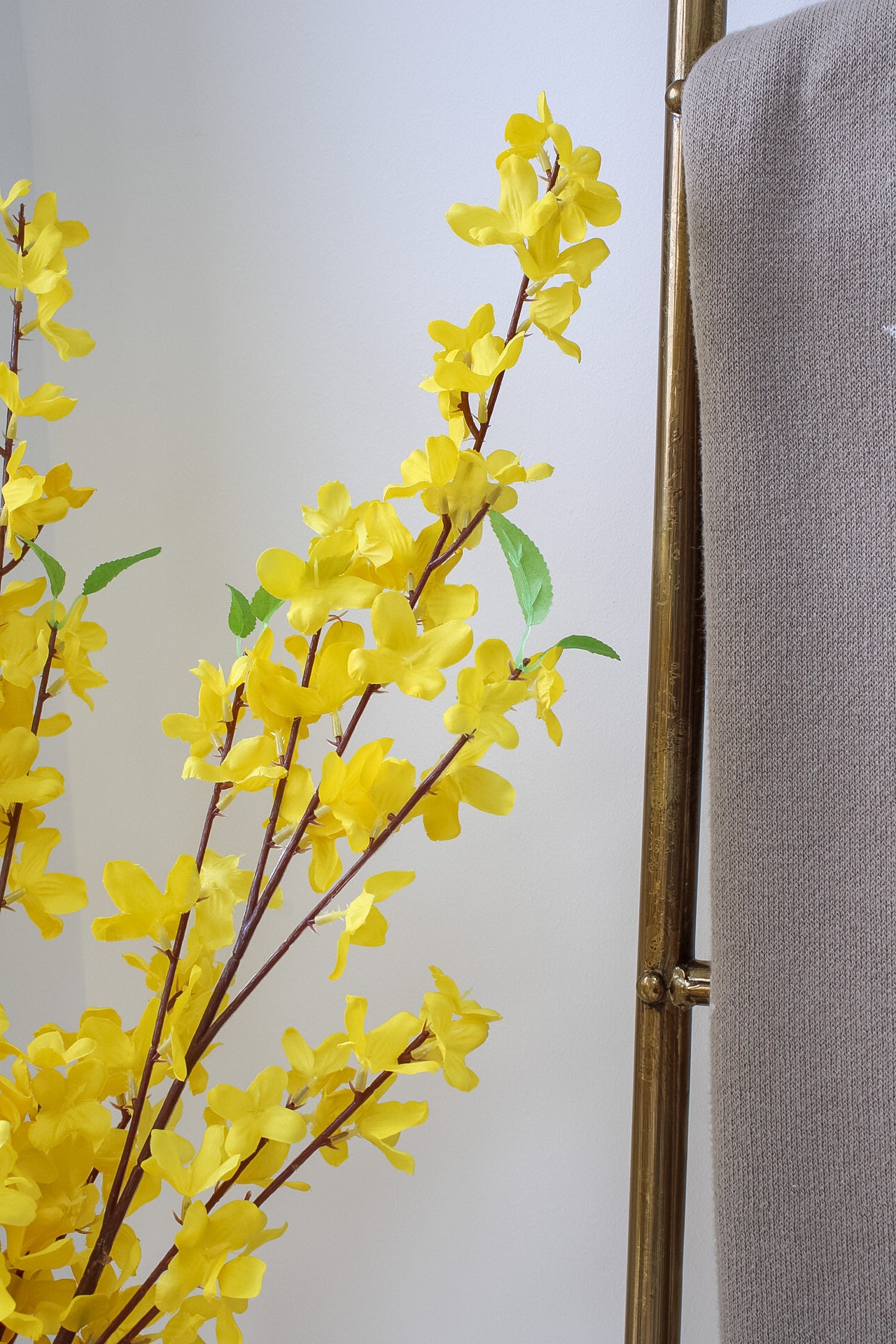Long Stemmed Yellow Forsythia