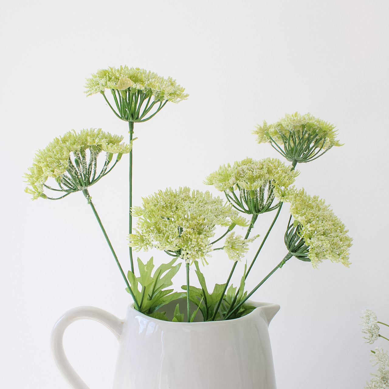 Queen Anne's Lace Spray | Bundle of 3