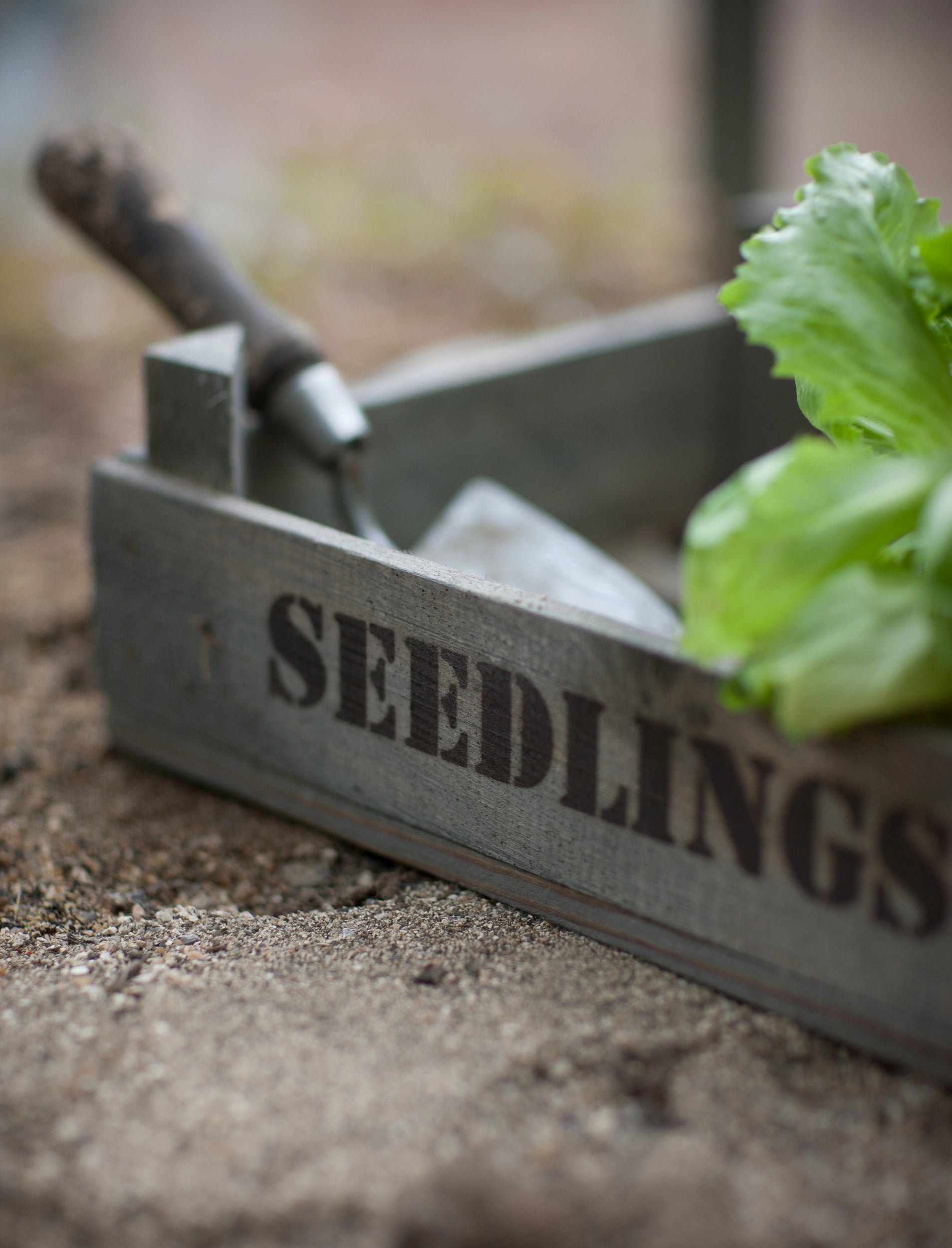 wooden seedlings tray for keen gardeners