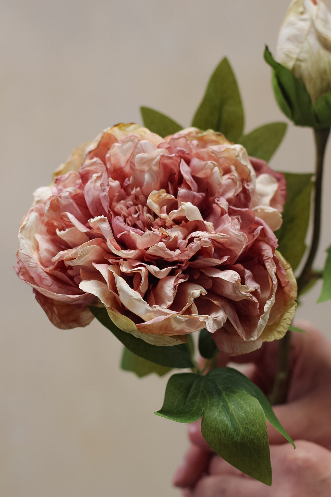 up close of blush pink dried touch faux peony stem