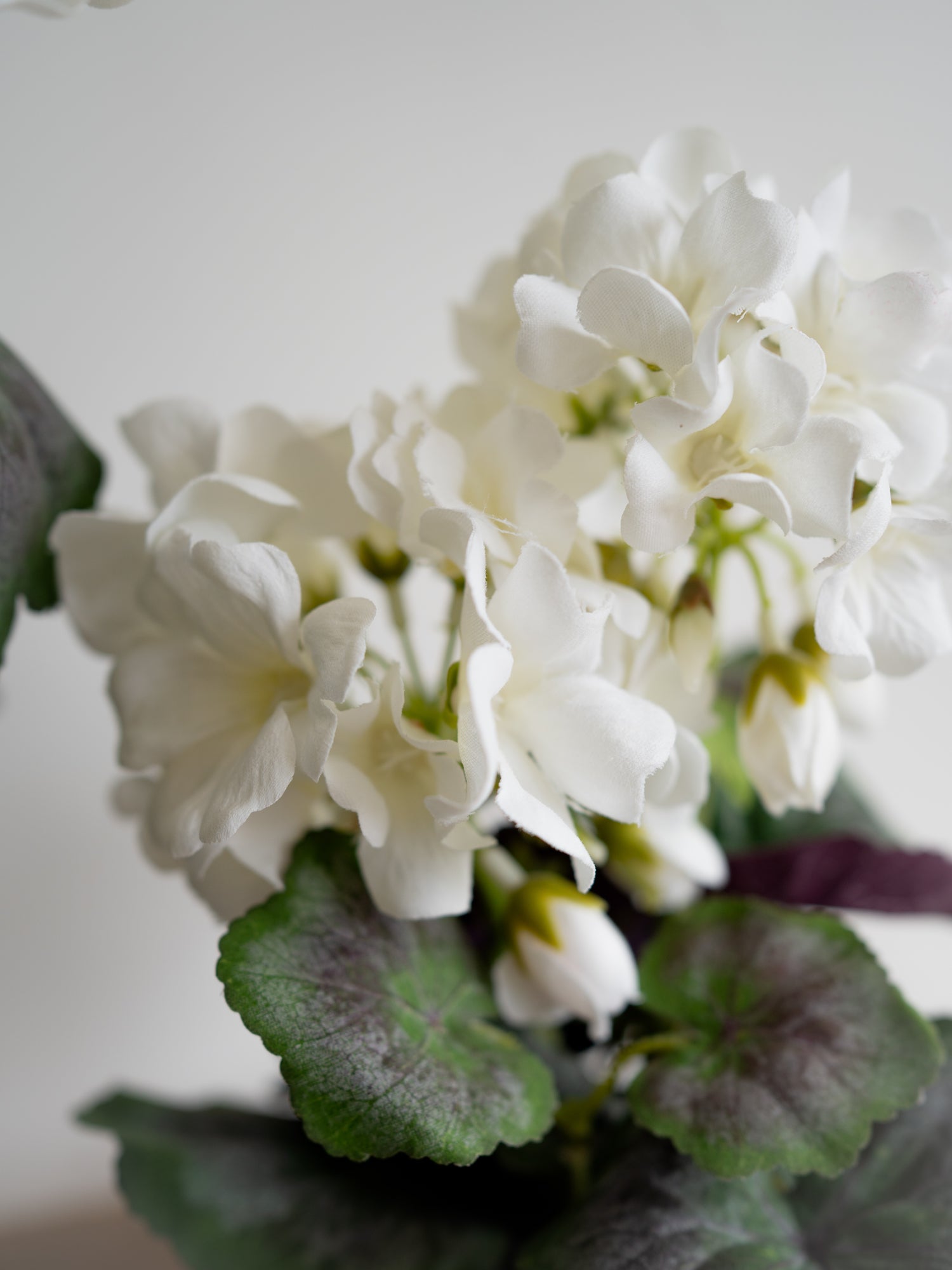 Faux White Geranium Plant