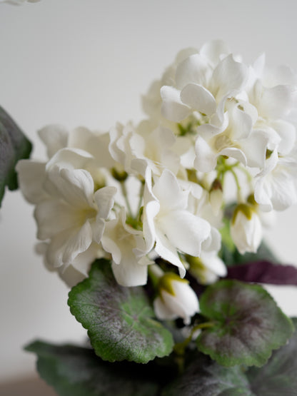 Faux White Geranium Plant