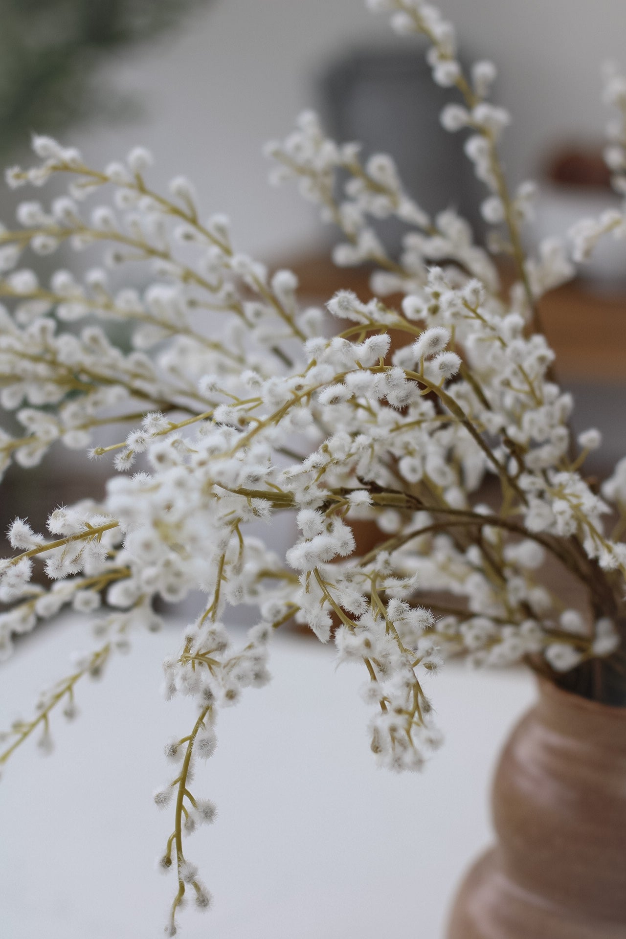 Buds of white willow sprays