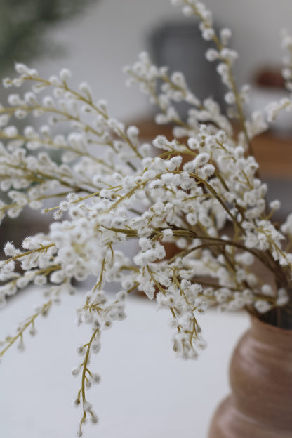 Buds of white willow sprays