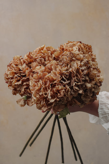 Faux Cappuccino Dried Touch Ruffle Hydrangea