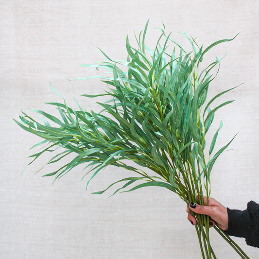 Long Leaf Eucalyptus Stem