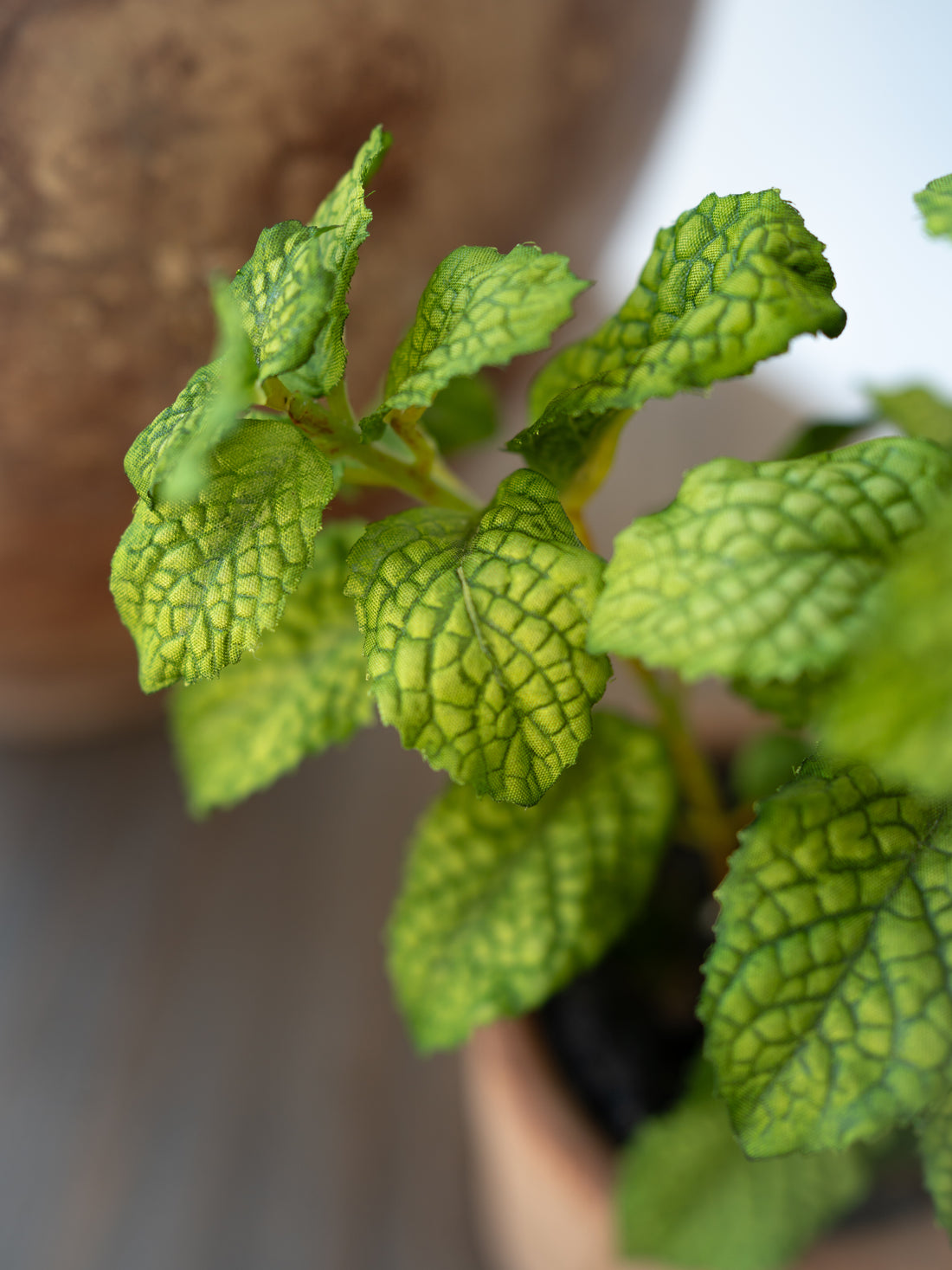 Faux Potted Mint Herb Plant in Terracotta Pot