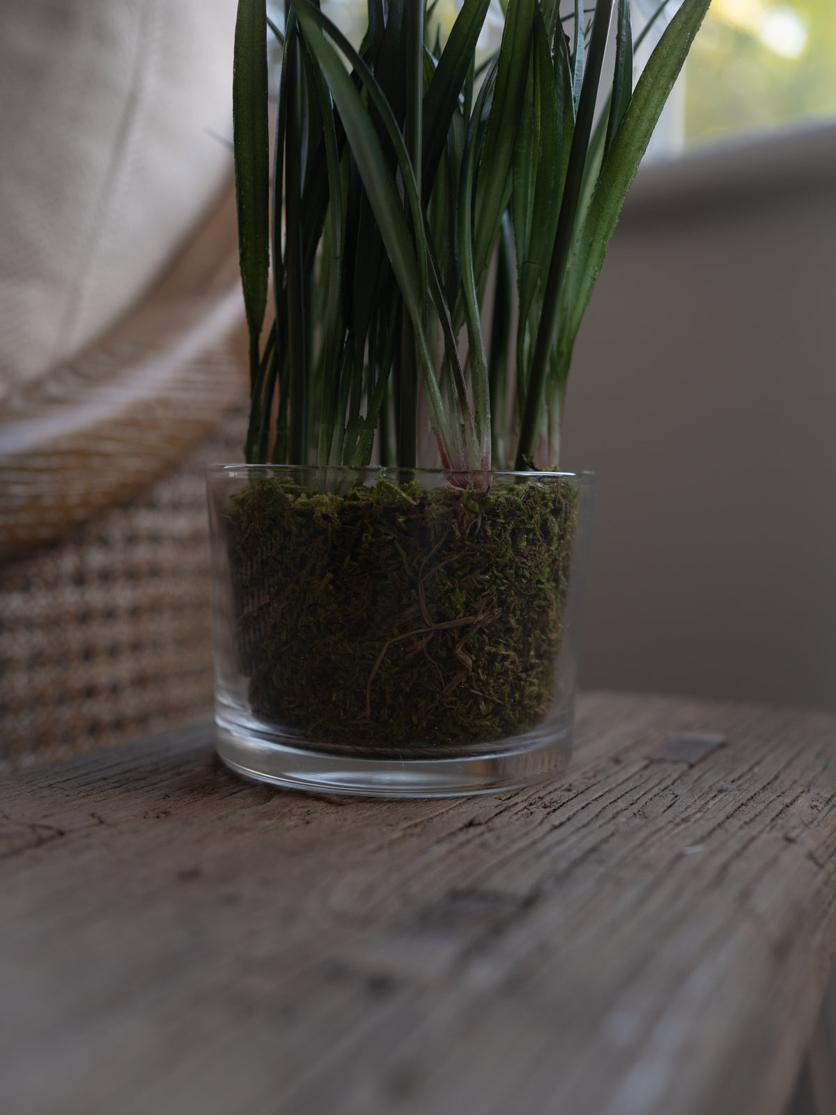 Faux Snowdrop Plant in Glass Pot