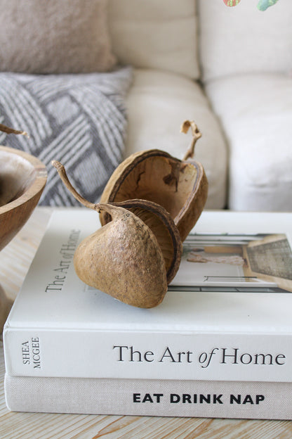 Dried Buddha Nut Seed Pods | Bundle of 5