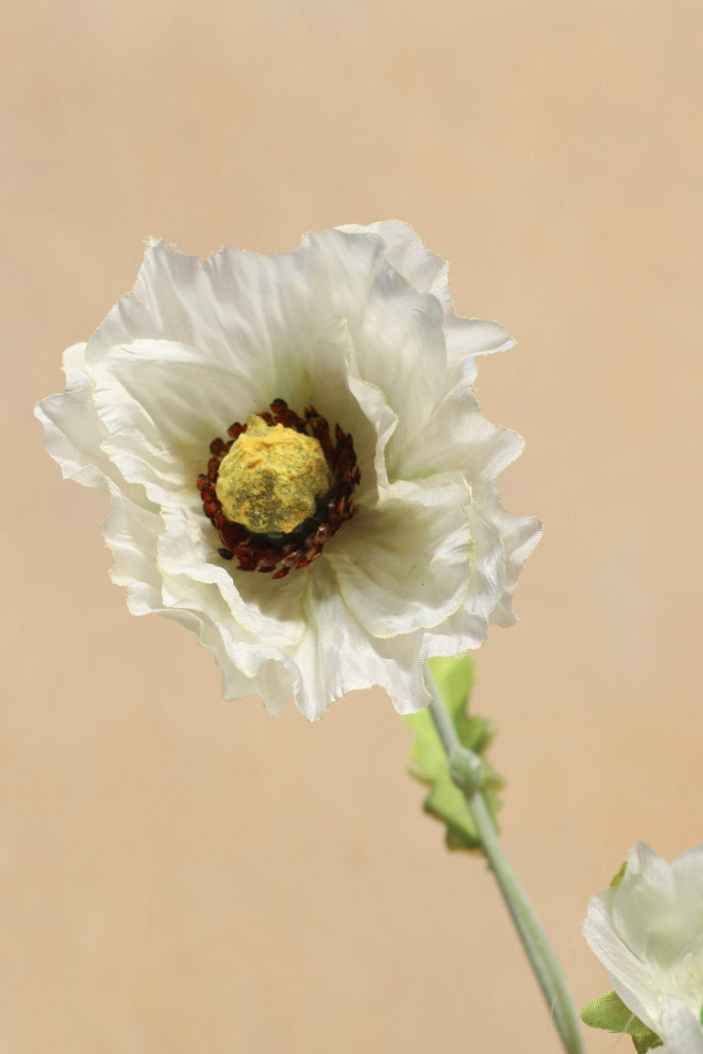 Ivory Country Poppy Spray