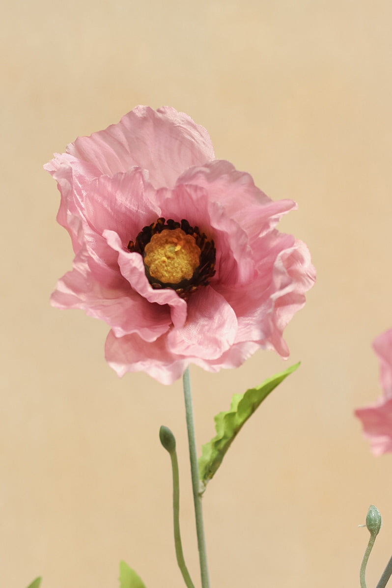 Pink Country Poppy Spray