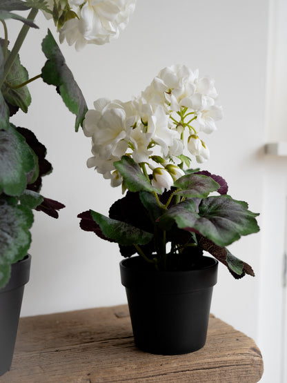 Faux White Geranium Plant
