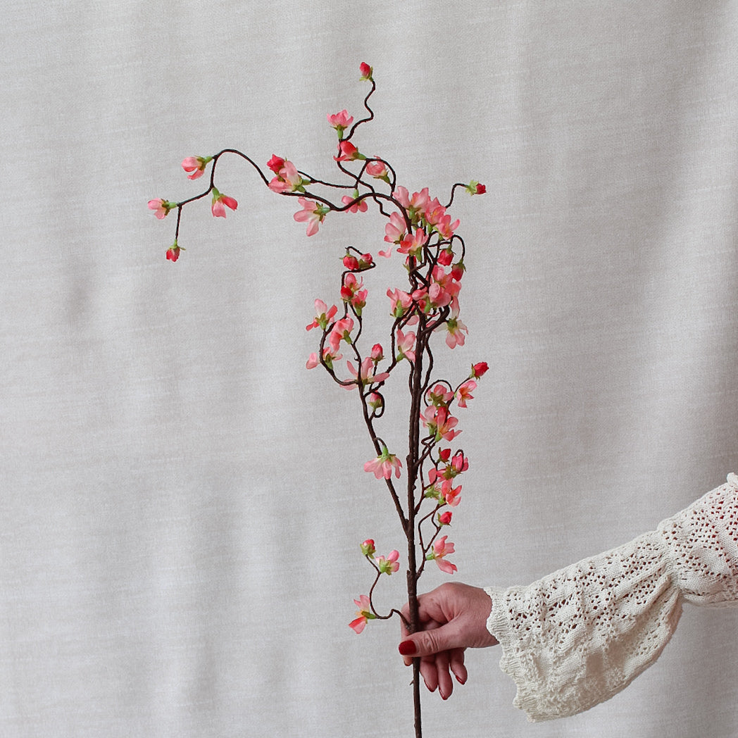 Rosewood Weeping Cherry Blossom Branch