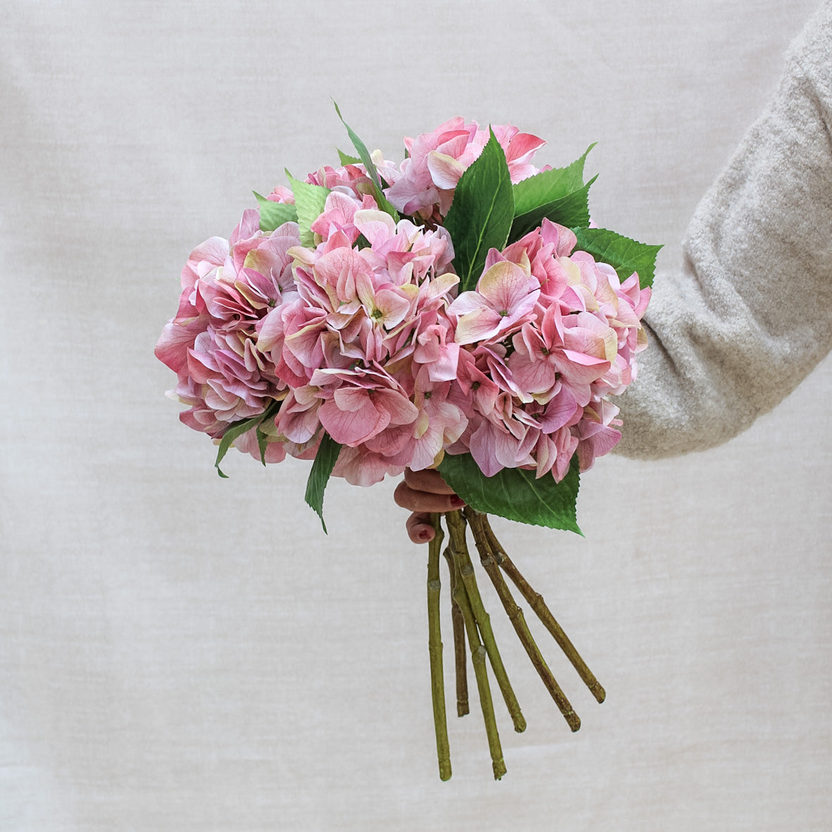 Shabby Pink Hydrangea