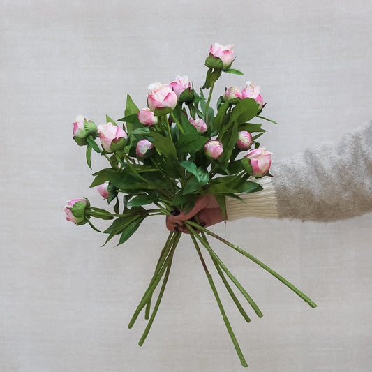 Blush Pink Tight Bud Peony Spray