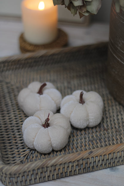 White Velvet Pumpkins | Set of 3