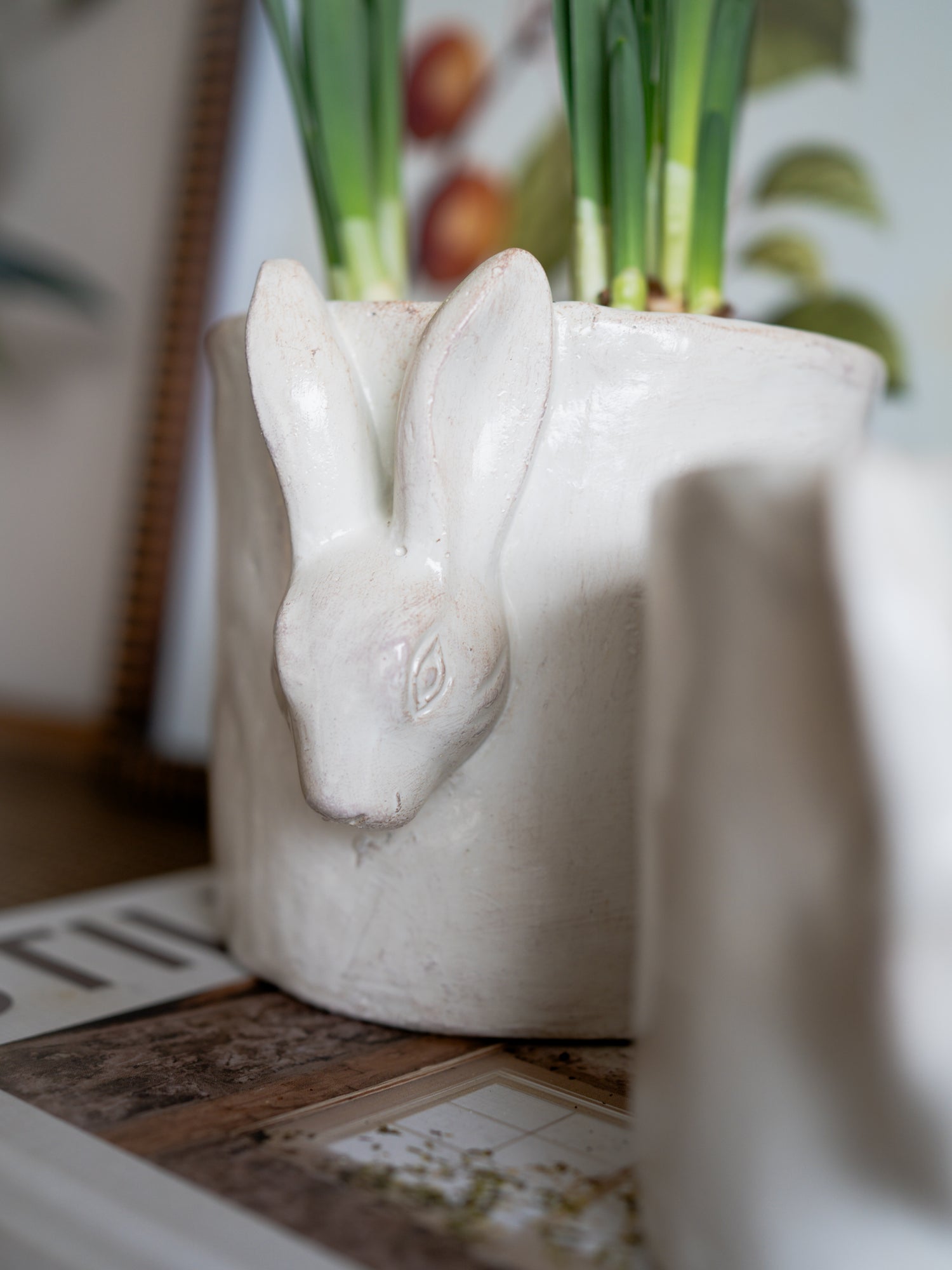 White ceramic planter with rabbit design on a wooden surface