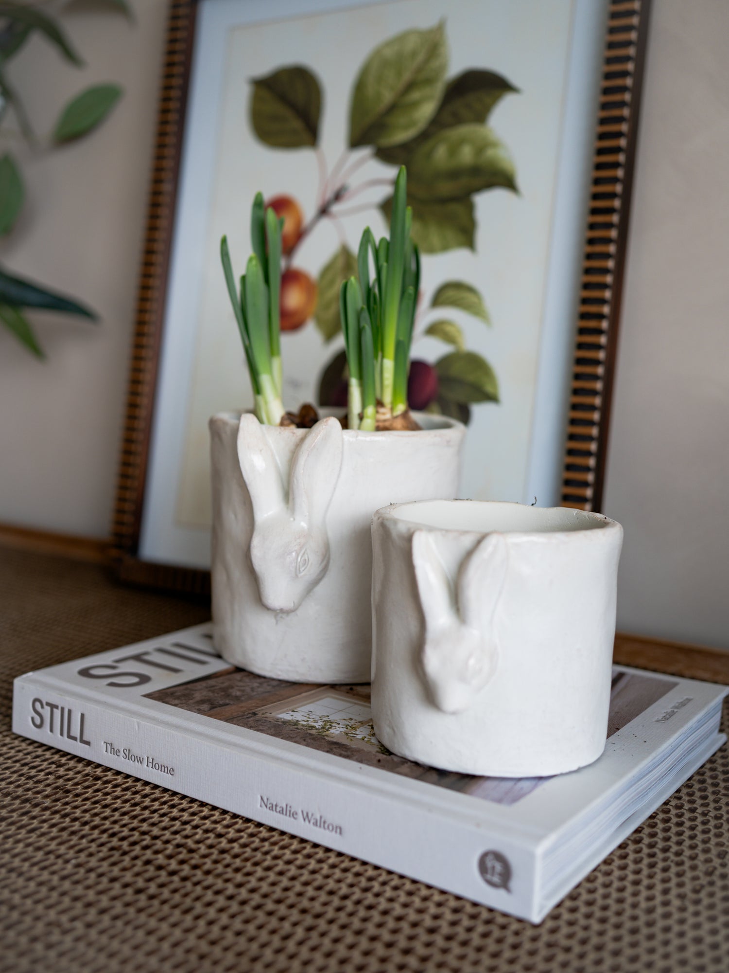 Two white ceramic planters with rabbit designs on a book, with a framed botanical print in the background.