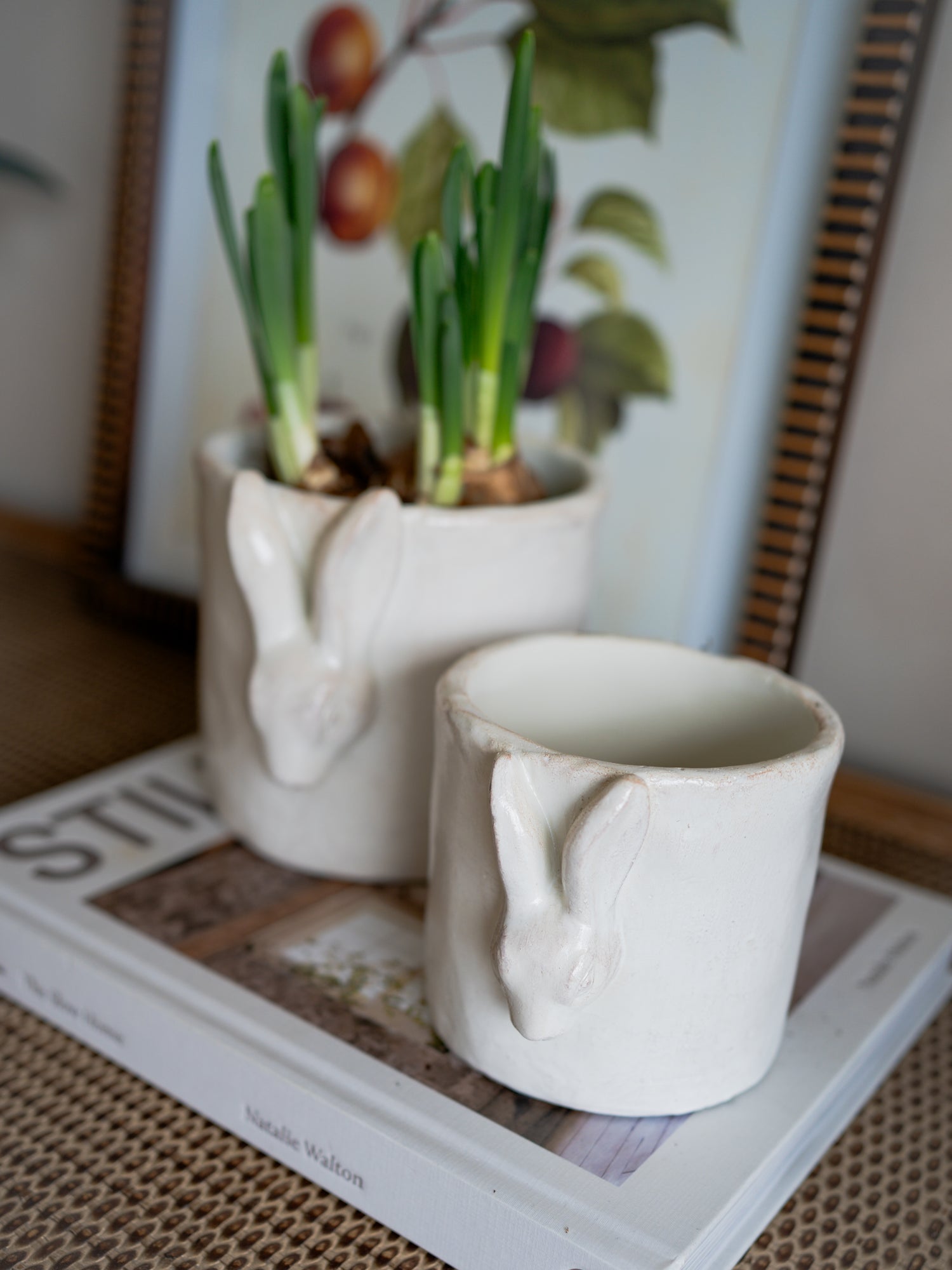 Two ceramic rabbit-shaped planters with small plants on a book