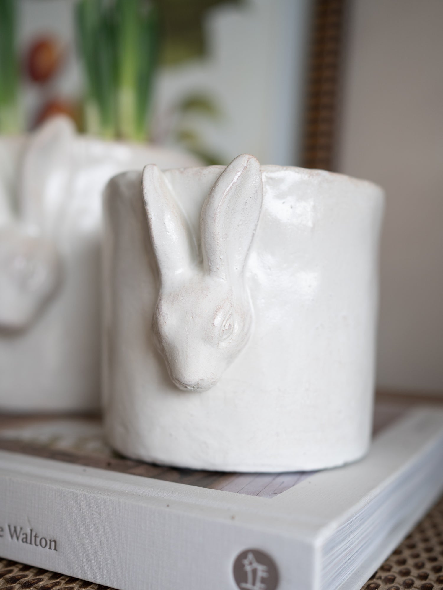 White ceramic planter with rabbit design on a book