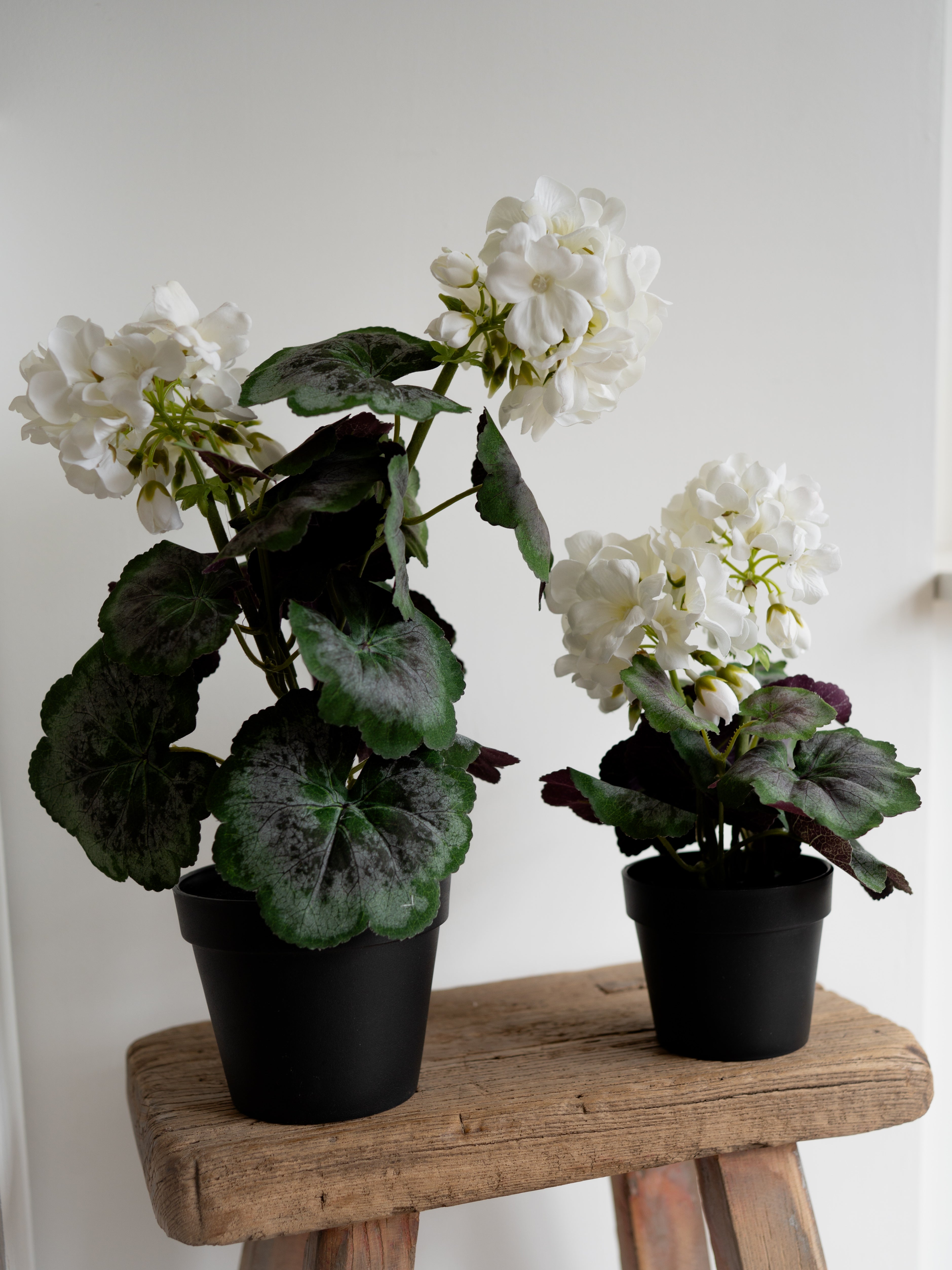 Faux White Geranium Plant