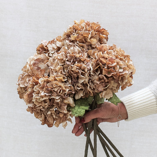 Cappuccino Dried Touch Ruffle Hydrangea | Bundle of 3