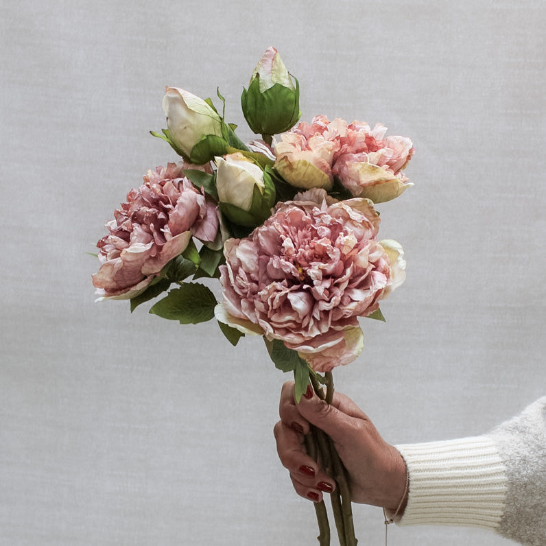 Dried Touch Blush Pink Peony Stem | Bundle of 3