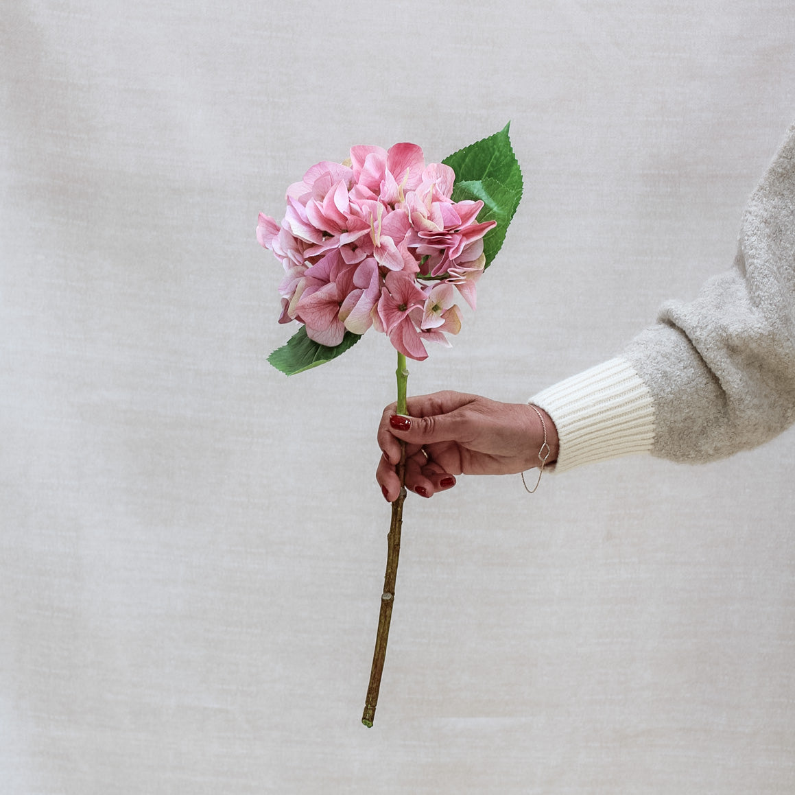 Shabby Pink Hydrangea