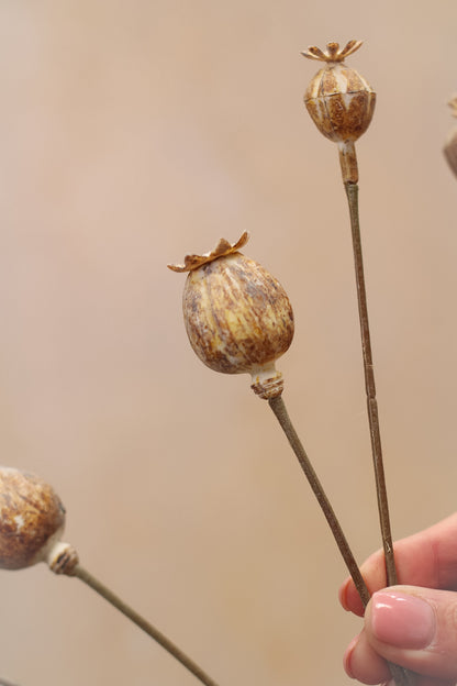 Faux Poppy Head Spray