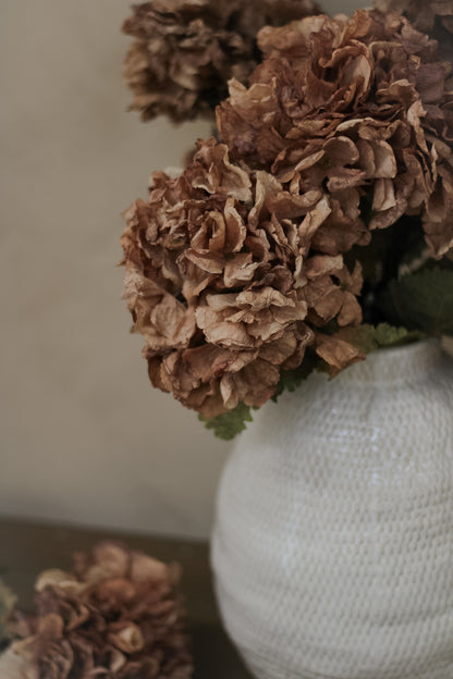Faux Cappuccino Dried Ruffle Hydrangea