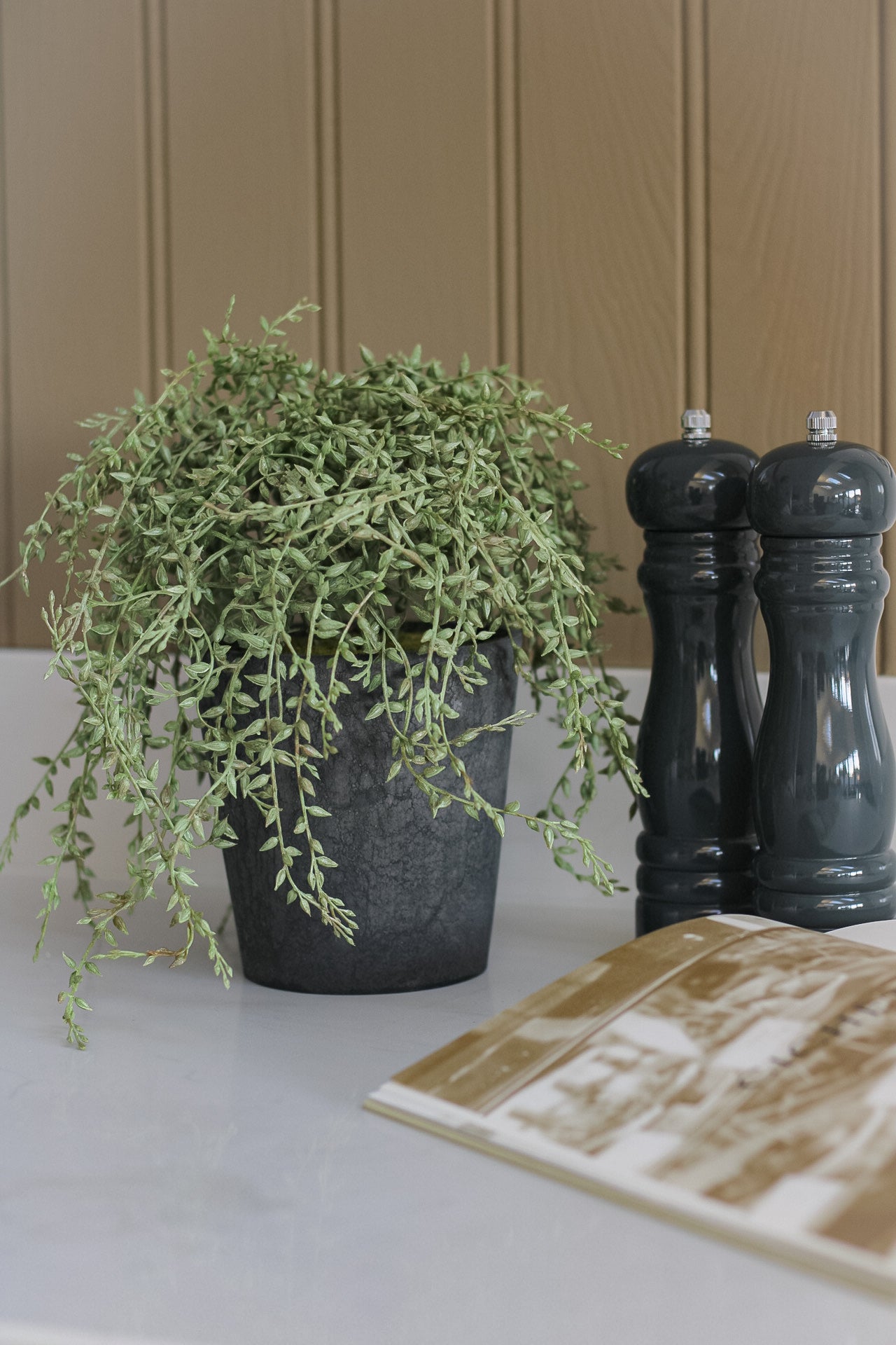 grey potted artificial plants Faux Potted Grey Senecio Plant